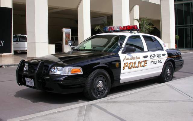 美国单个警员的12件装备,警车内的配置更丰富