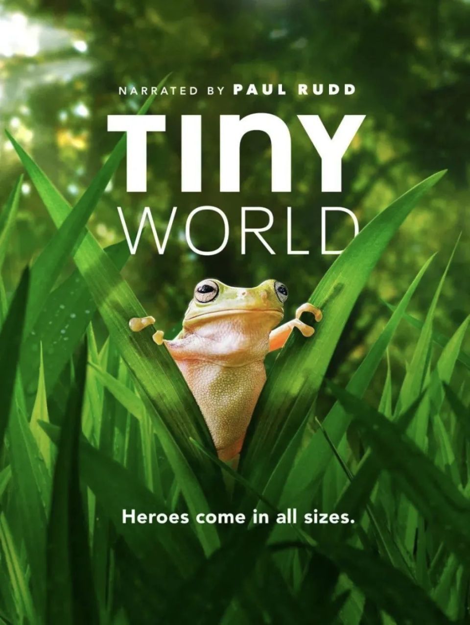 6分《小小世界》3人与植物的关系不是剥削与索取,是与天地共存,与万物