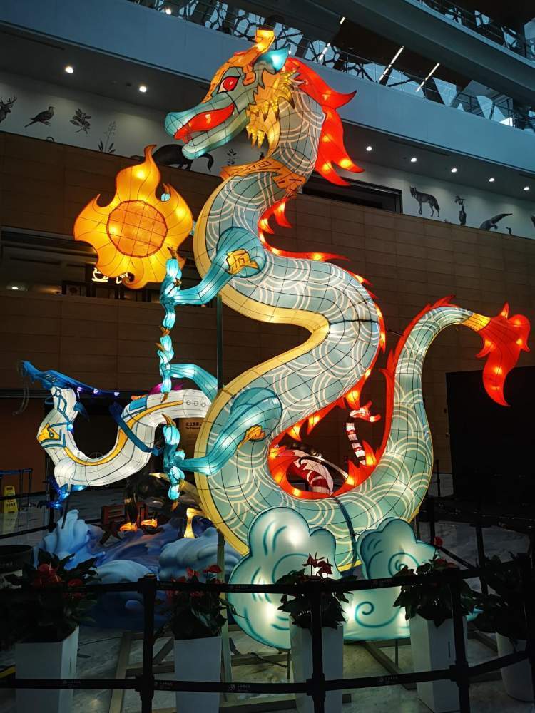 上海自然博物馆"有龙则灵——2024甲辰龙年生肖特展""龙"重登场_腾讯