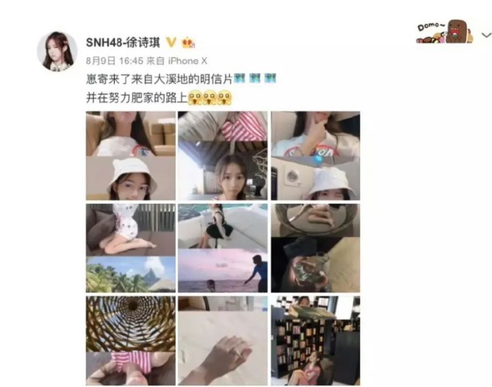 明星塌房道歉大赏:吞药,跳楼,手写道歉信!网友:演给粉丝看的