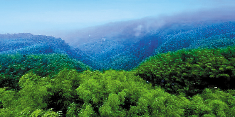 竹海星光 泉都新景_腾讯新闻