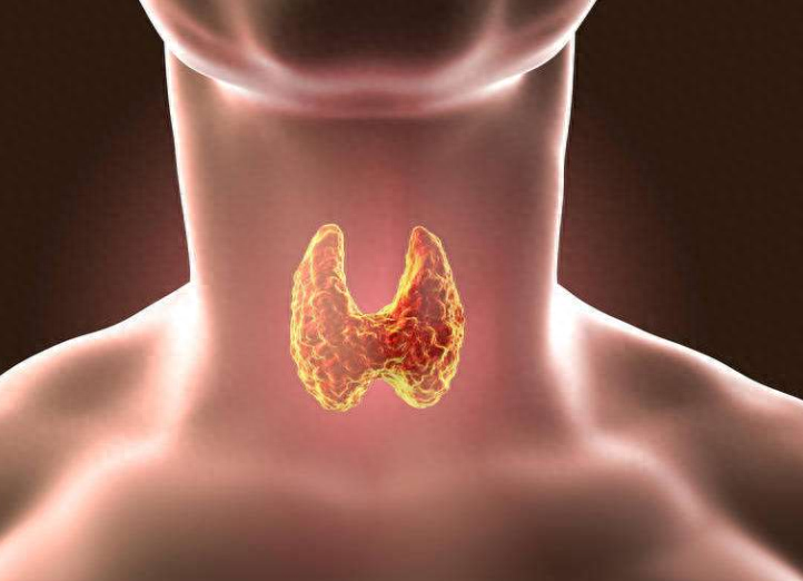 甲状腺瘤的位置图片图片