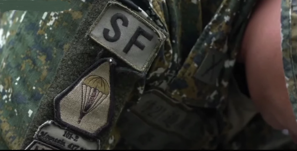 陆军特种作战指挥部士兵臂章,图片来源:网络作为一支陆军中的空降