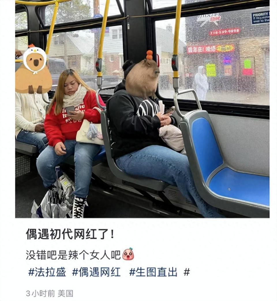网红凤姐美国被偶遇,坐公交车生活节俭,身材臃肿体重近200斤_腾讯新闻