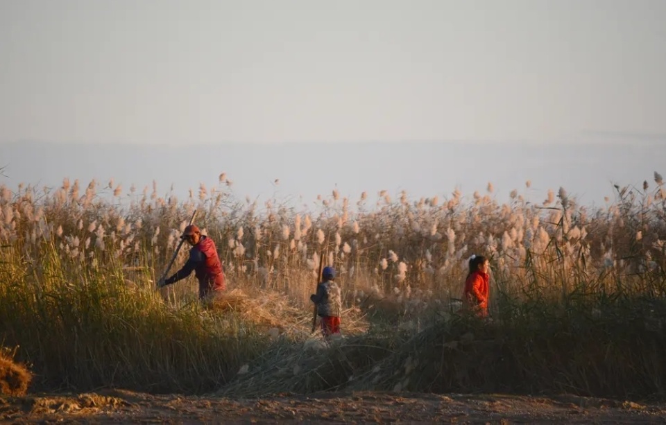 蒙古国哈尔乌苏湖成为世界生物圈保护区