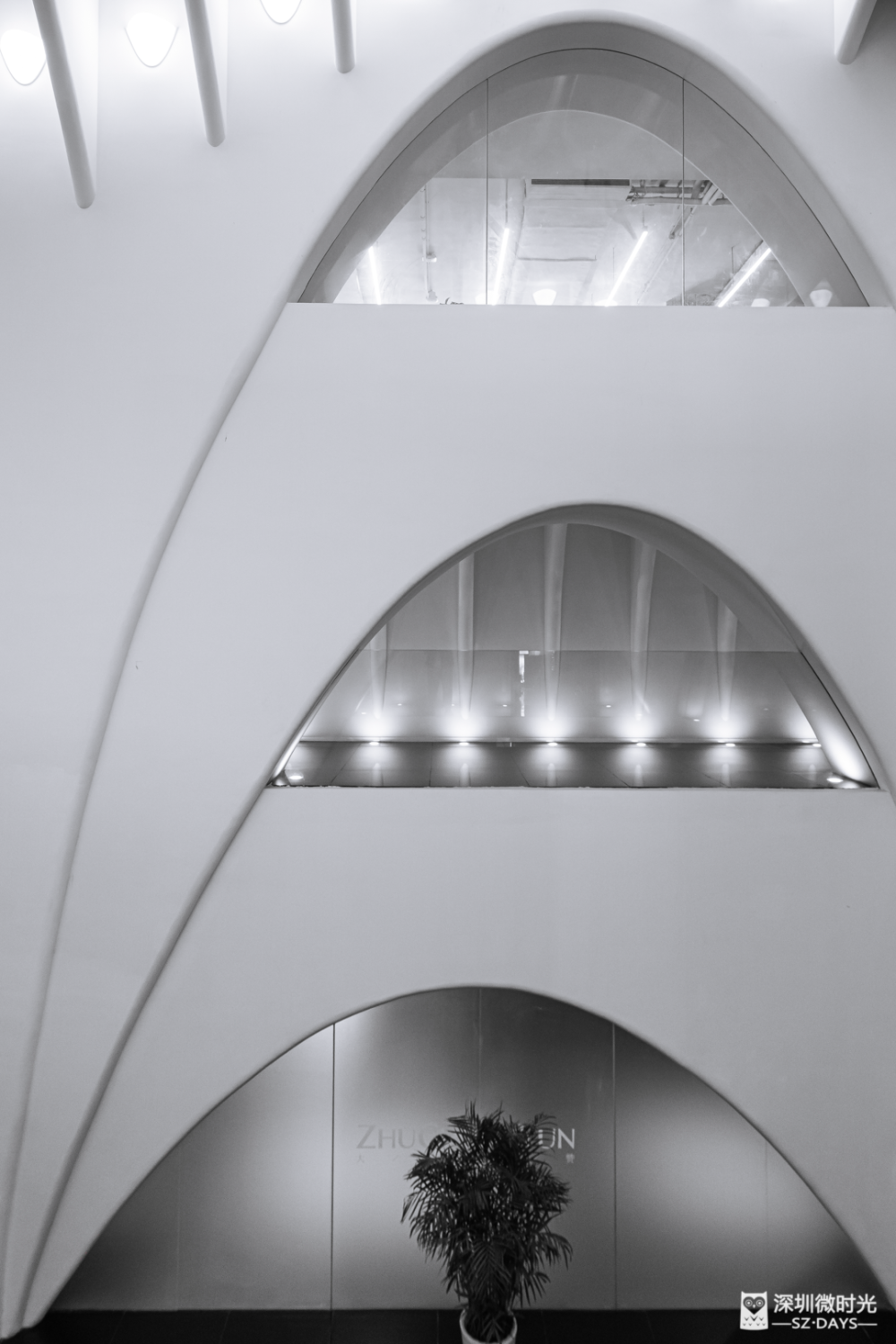 深圳最神秘地标：建造花了15年，竟只是别人家的办公楼？_腾讯新闻