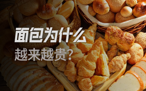 一份吐司98,我们的面包自由被谁剥夺了?