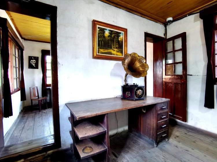 故居西院,耸立一棵戴笠从美国运来并手栽的金钱松,高达10余米,树冠如