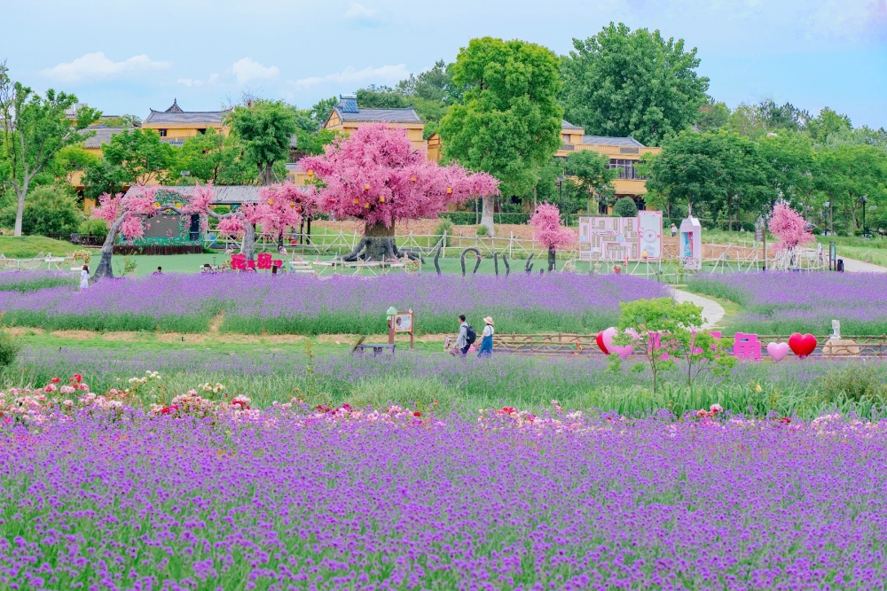 公示黄陂景区拟入选国字号案例