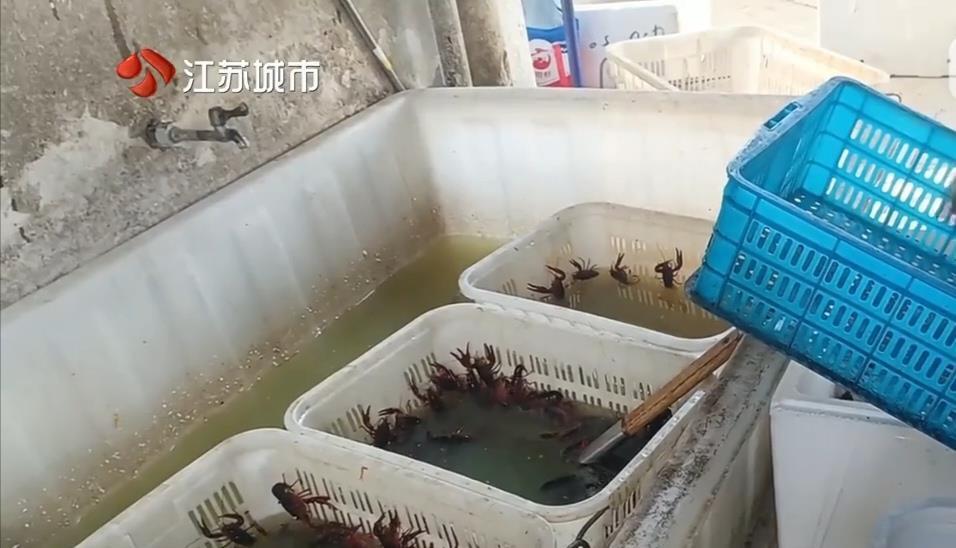网红外卖店用工业草酸洗虾！月销超千单评分近5分？恶心