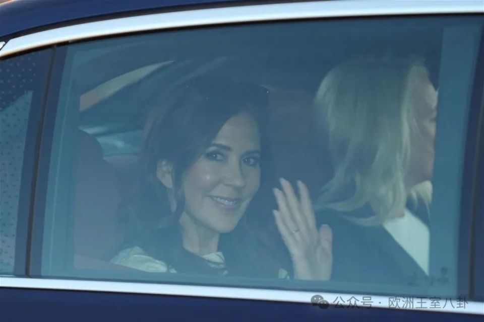 玛丽结婚满20年了,加上去年夜光麻将事件表明这些年腓特烈一直没闲着