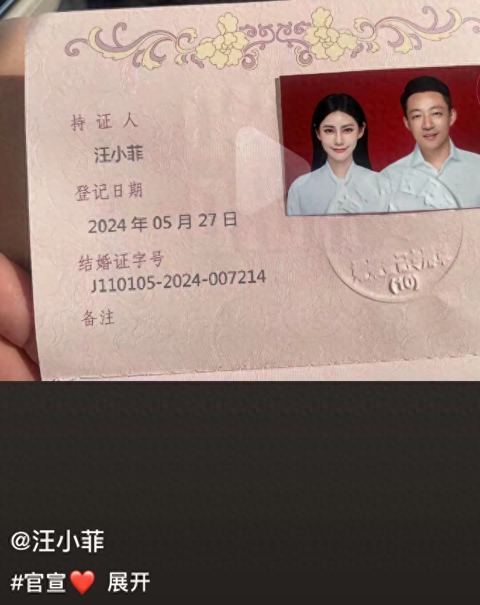 汪小菲老婆的个人资料图片