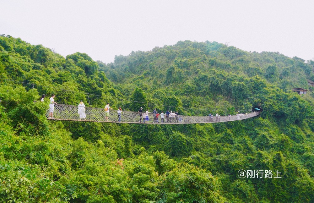 打卡亚龙湾热带天堂森林公园,在雨林里漫步森呼吸