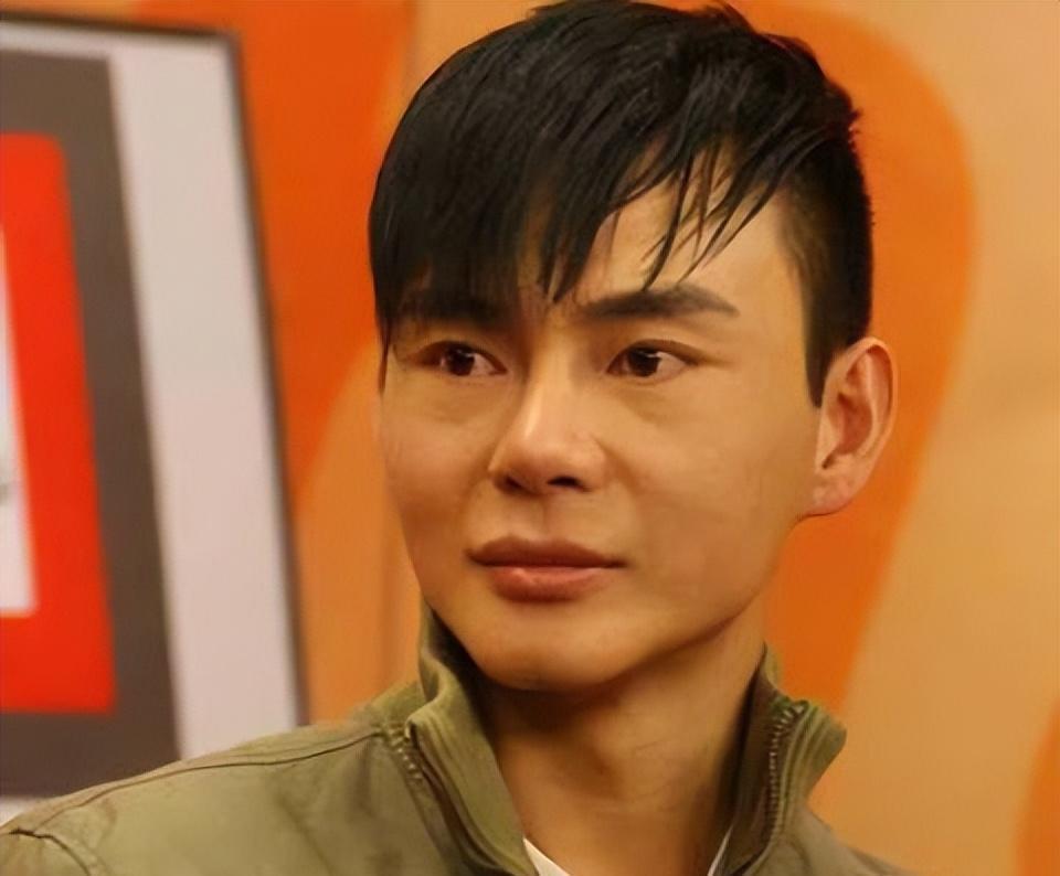 出名的执导作品有《太子妃升职记》,同时也是中国现代作家海岩的儿子