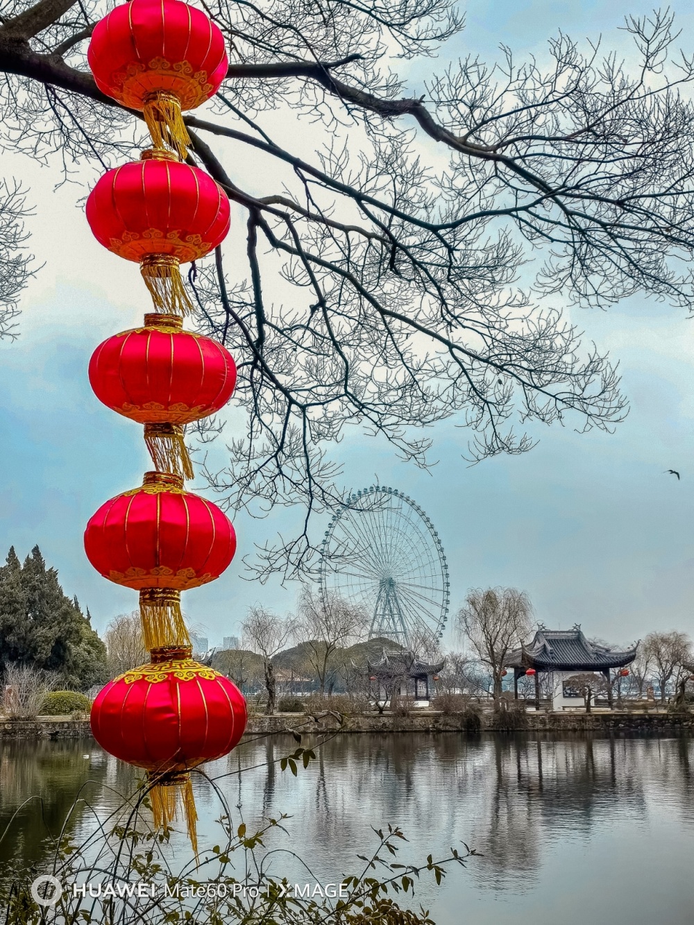 无锡蠡园新年红