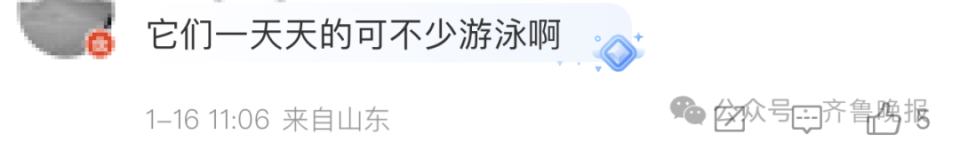 快手达人：新澳门资料免费资料大全-“再喂就嘎了！”趵突泉“猪鲤”开始减肥  第7张