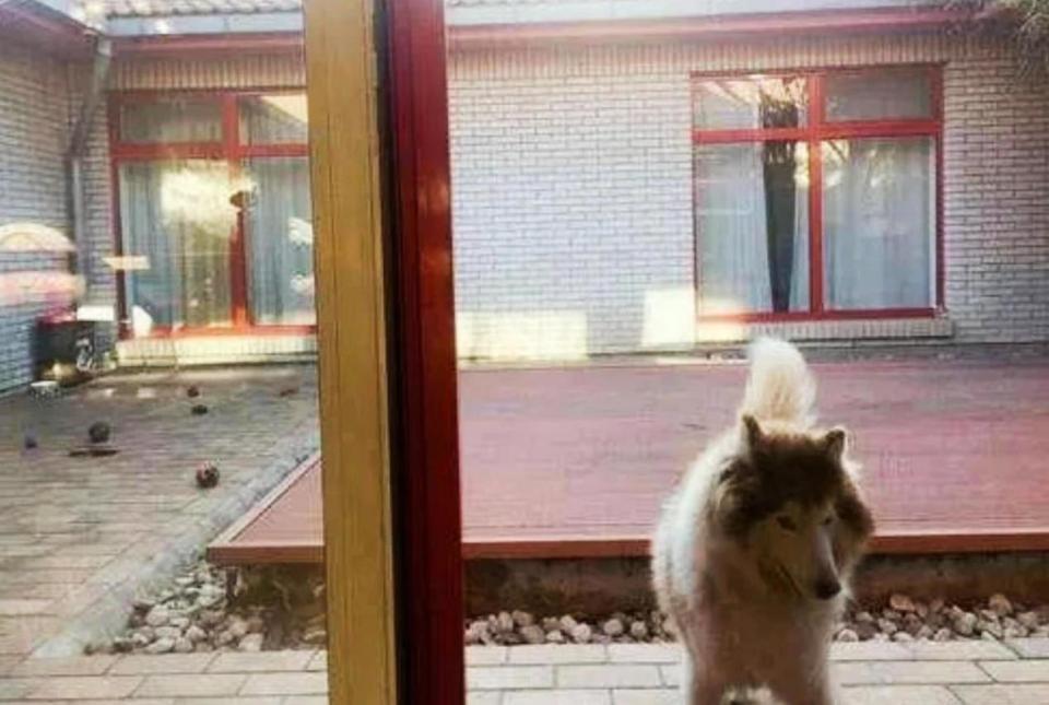 张若昀在北京的"四合院"火了,客厅竟摆红绿灯,颠覆我的想象!