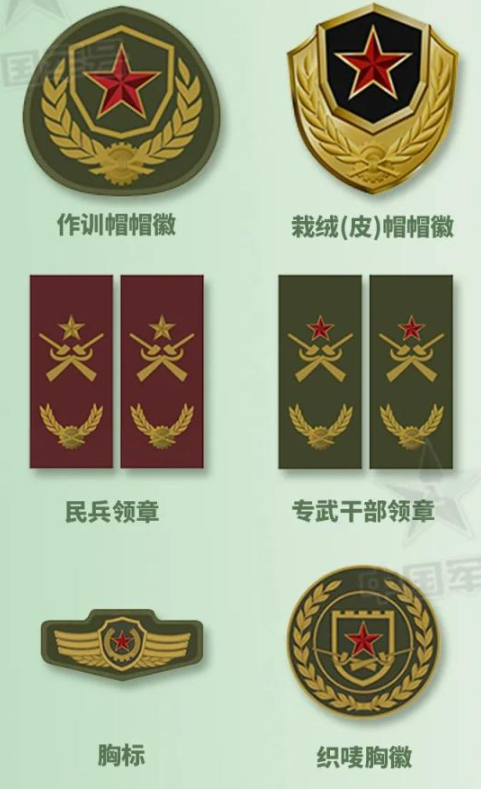 这支武装力量将执行新规
