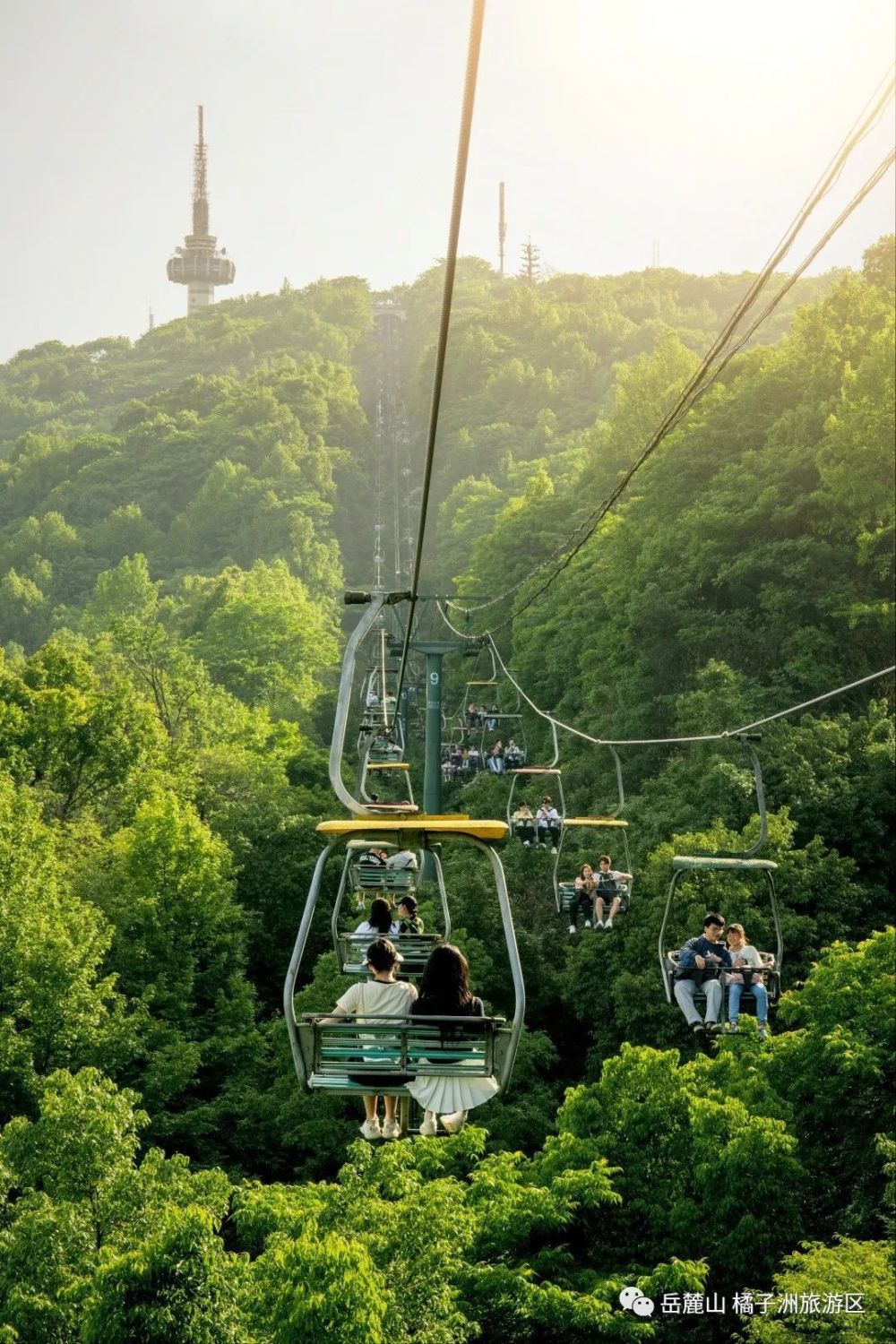 岳麓山索道的浪漫回响_腾讯新闻