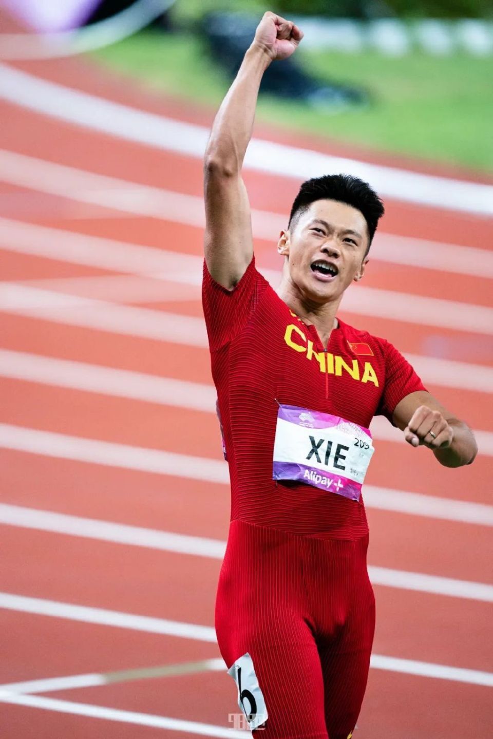 奥运四朝元老!#谢震业