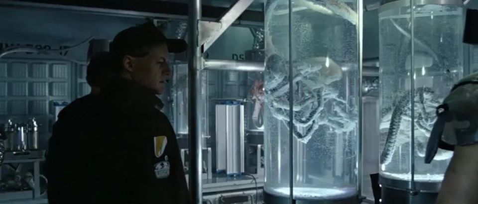 雷导再出《异形》番外篇,故事衔接《异形1》,结尾有大卫出场!