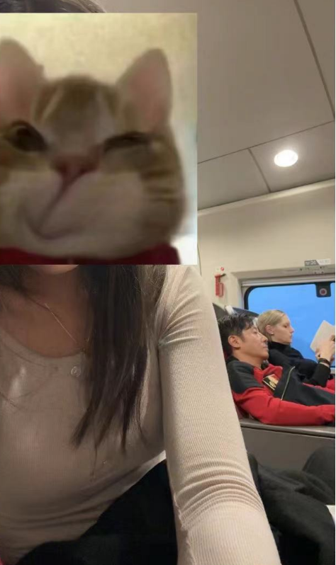 撒贝宁携妻子参加外甥婚礼,坐高铁一脸疲态,李白车上看书好优雅_腾讯