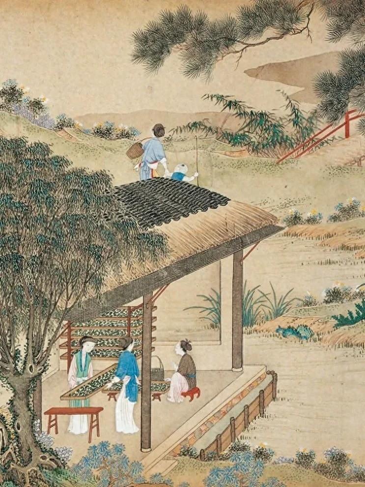 "春花秋月,夏风冬雪,而是每个季节都有每个季节的风情,农渔桑工每个