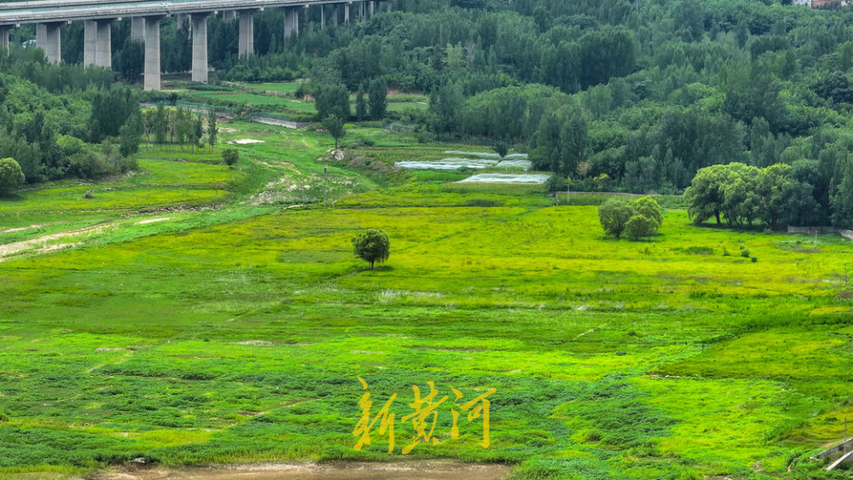 济南四库连通为水库补源,群山之中美如"天空之镜"| ai播泉城