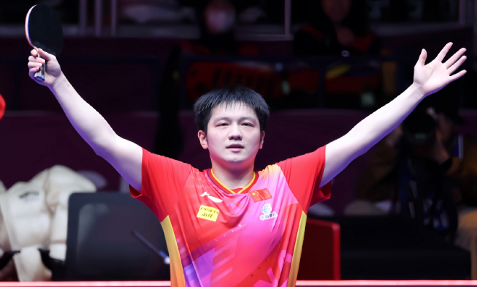 樊振东被打11-2!官方都不敢相信 记分牌闹乌龙 林诗栋申诉_腾讯新闻