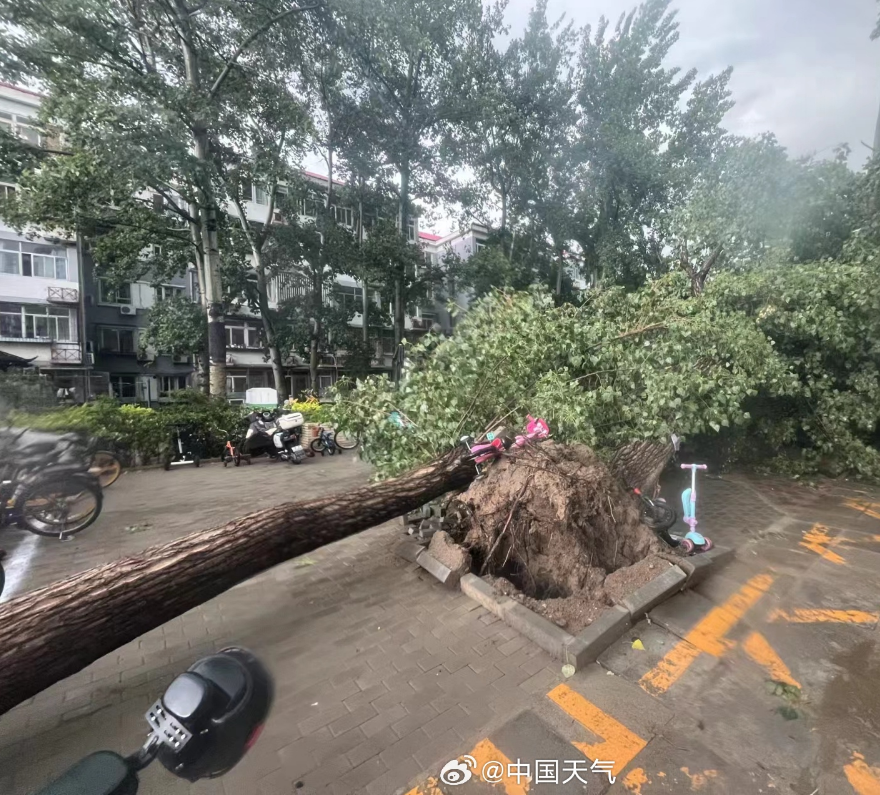 大风实景图图片