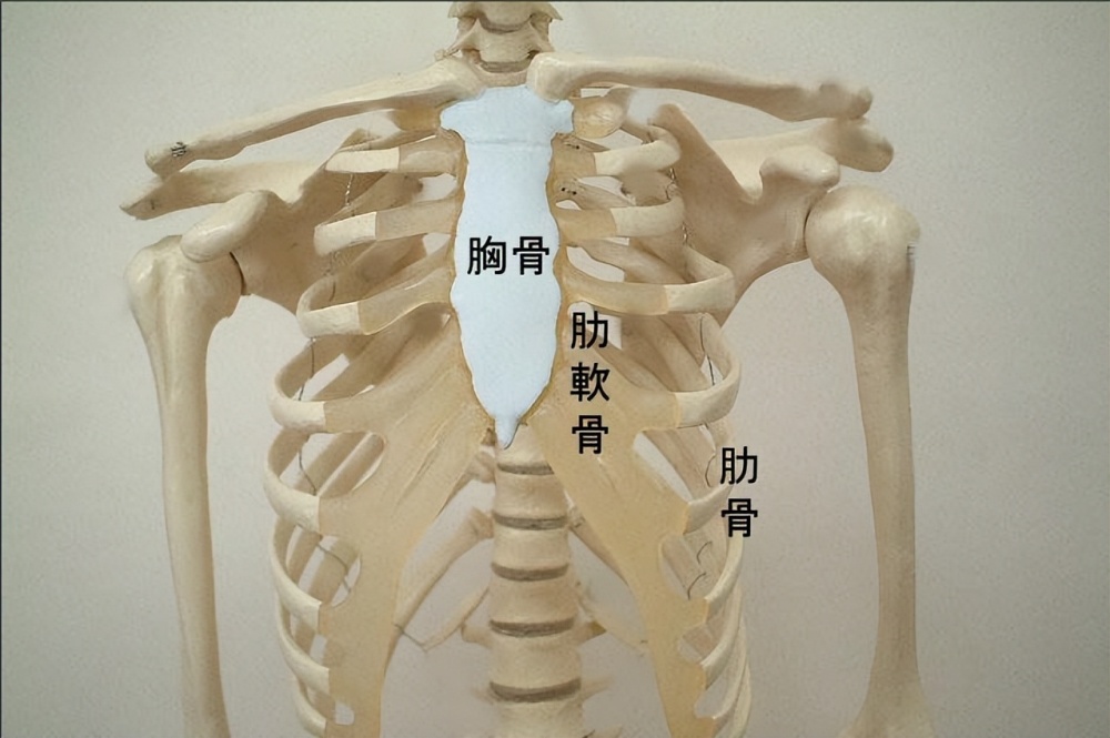 专家解析维金斯肋软骨损伤:关键是止痛大概率能打 美记调侃诈伤_腾讯