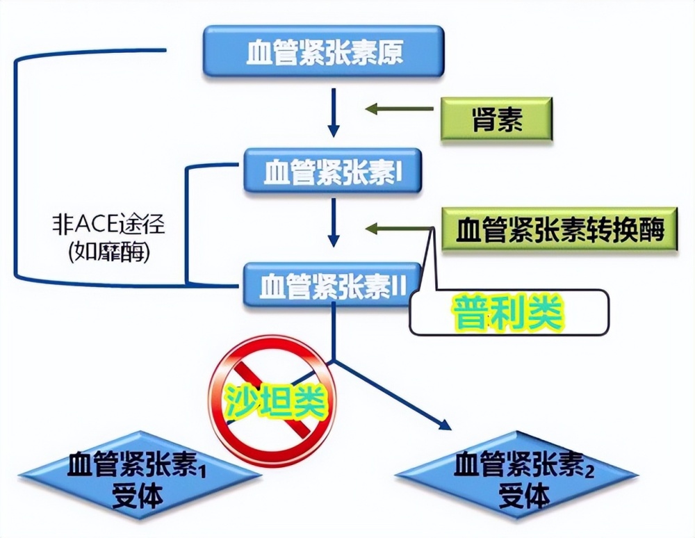 2023高血壓新指南推薦六類一線降壓藥,三類互相不合