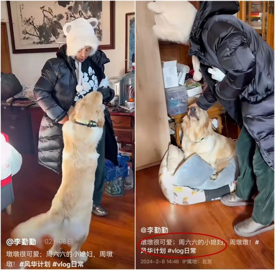 收养周海媚爱犬，“恶婆婆专业户”李勤勤回应：已养两月并不想蹭热度_腾讯新闻