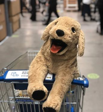 那些年,陪伴我们的宜家伙伴_腾讯新闻