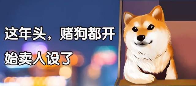 赌狗,你拿什么和狗庄斗?