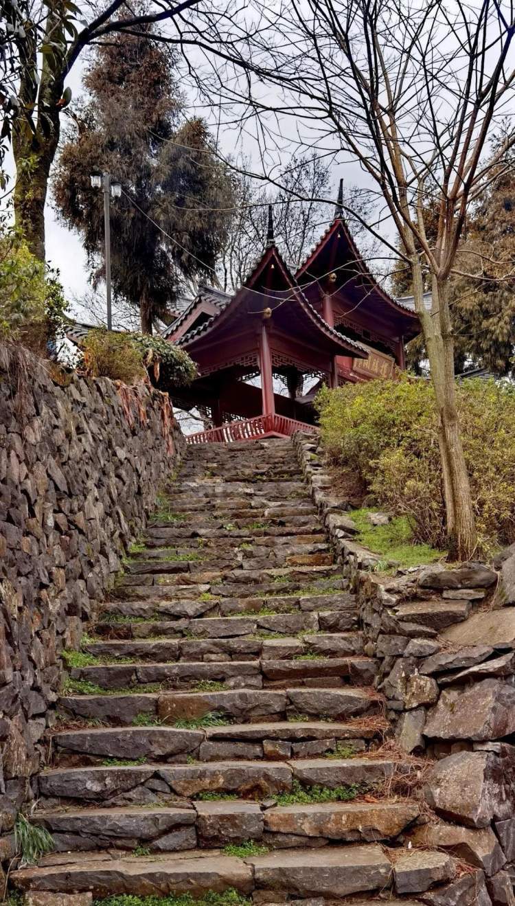 乌石村 | 上海爷叔游磐安