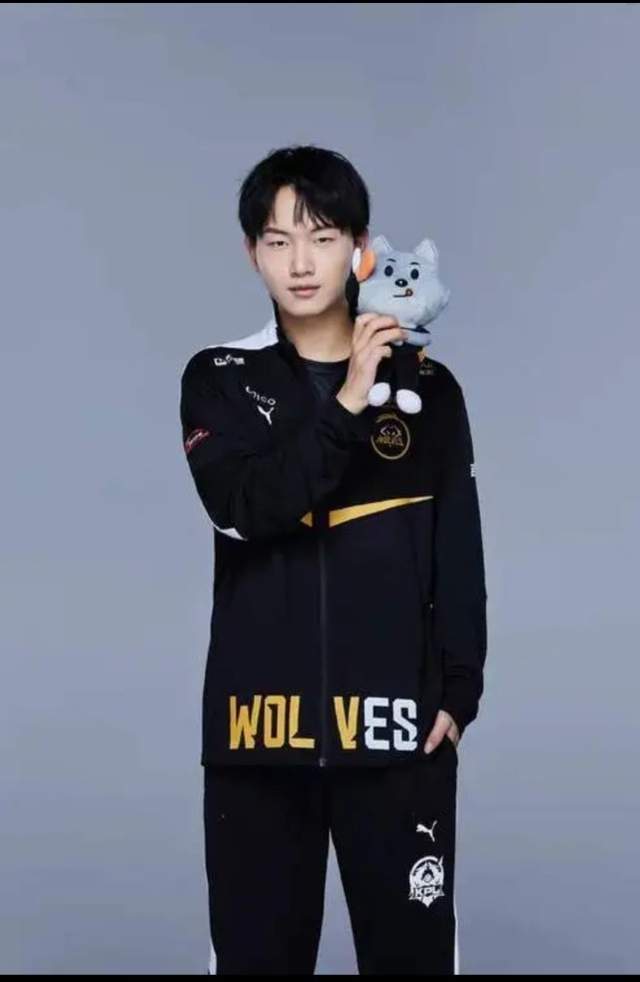 王者荣耀七周年来袭,狼队fly登上七周年舞台,kpl第一人牌面!_腾讯新闻