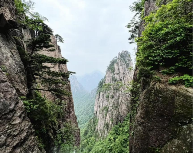 雨雾缭绕,如诗如画雨天的黄山,群峰若隐若现,犹如一幅泼墨山水画