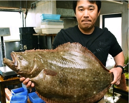 日本直播_日本直播_日本直播