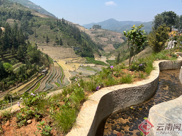 绿春春常绿牛弄村花园级村庄产业发展旺
