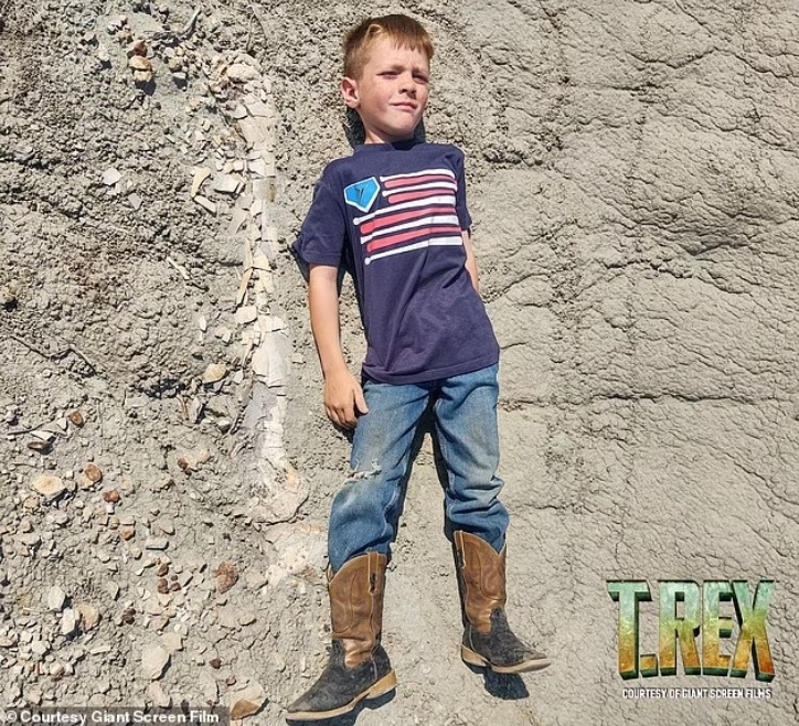 而是拍了一些照片,发给了他们家的一位朋友,丹佛自然科学博物馆脊椎