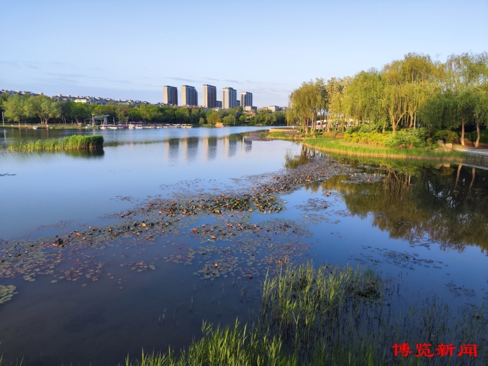 4月23日,春雨后的桓台红莲湖,莲花绽放,景色如画记者 史章