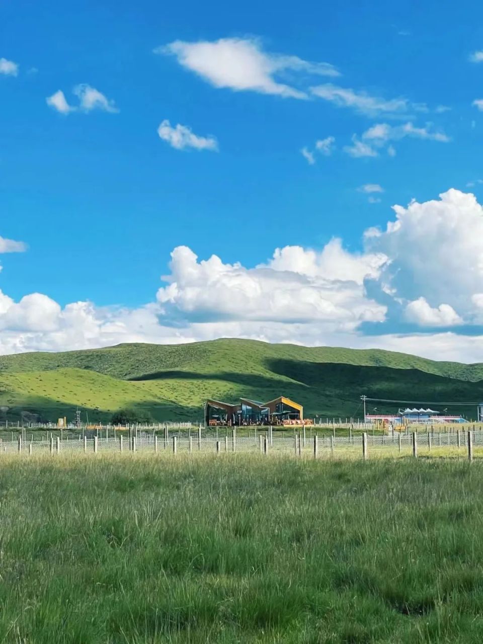 绵竹人快看月底通车成都出发4h直达红原大草原
