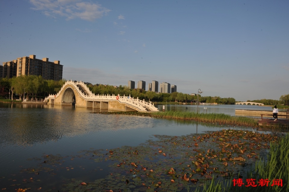 4月23日,春雨后的桓台红莲湖,莲花绽放,景色如画记者 史章