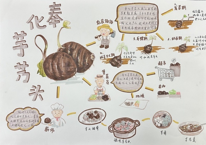 寒假里,宁波小学生们开展了一场职业大探秘