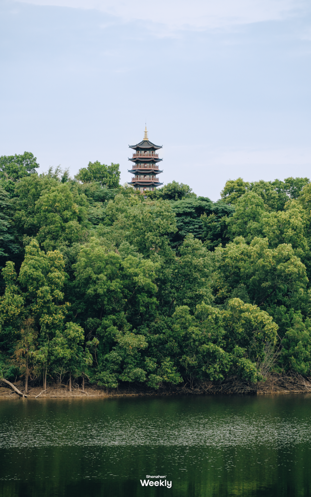 深圳「小西湖」,入秋降温好去处