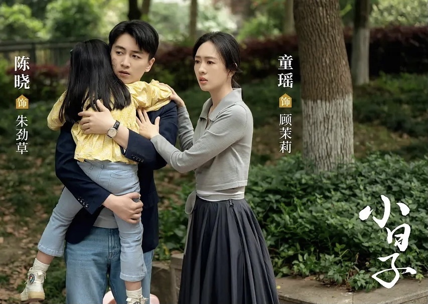 《小日子》大结局:朱大力去世,"对不起"成遗言,他们奉子成婚