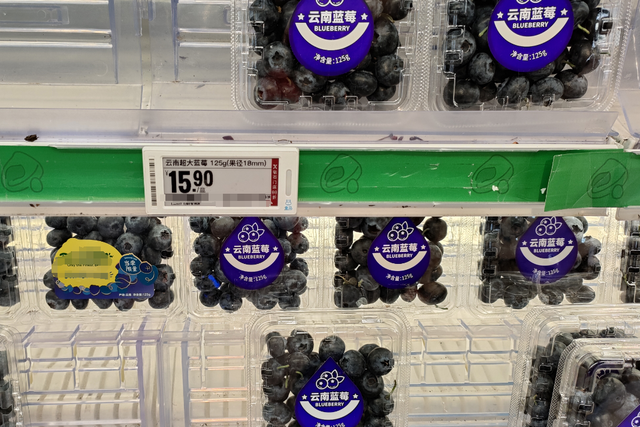 蓝莓在超市里的价格就几乎没低过,蓝莓的价格高低主要是看蓝莓的品种