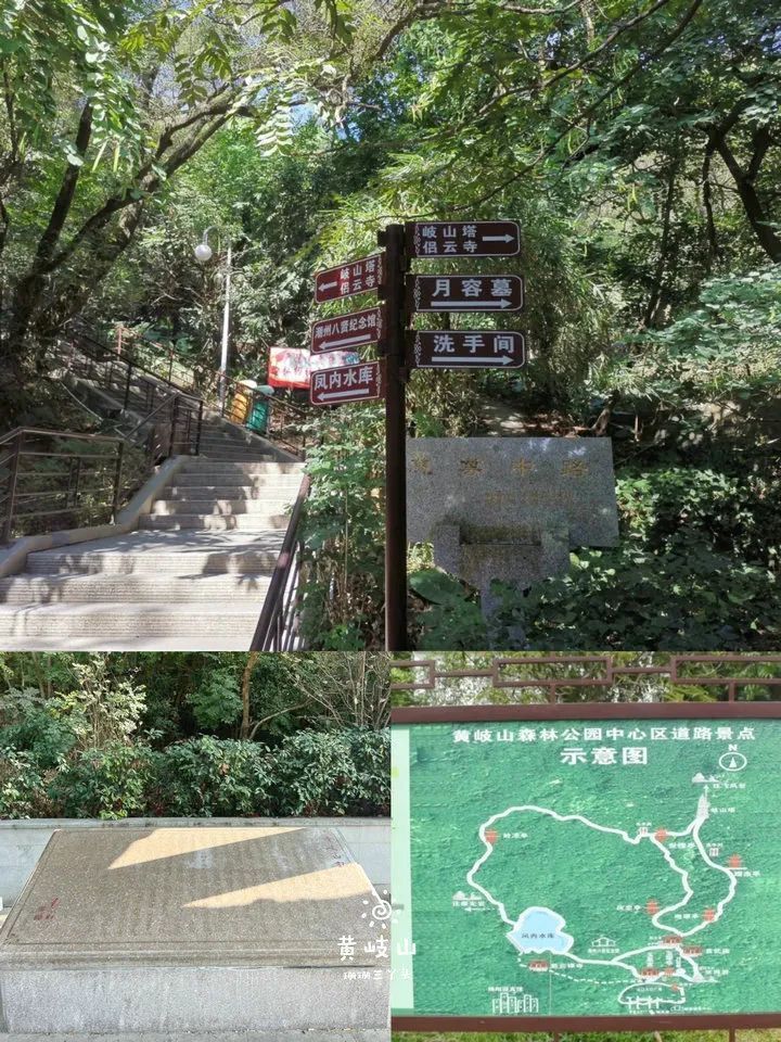 黄冈大崎山森林公园图片