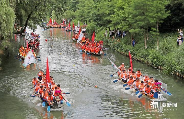 杭州蒋村龙舟奋楫迎端午
